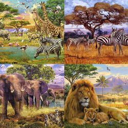 Jigsaw puzzle: Africa