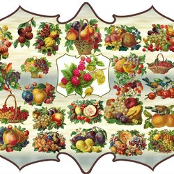 Jigsaw puzzle: Vintage fruits