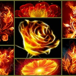 Jigsaw puzzle: Fire flowers