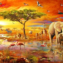 Jigsaw puzzle: Sunset in the savannah