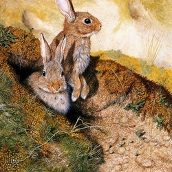 Jigsaw puzzle: Two rabbits