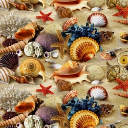 Jigsaw puzzle: Lots of seashells