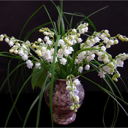 Jigsaw puzzles on topic «Lilies of the valley»