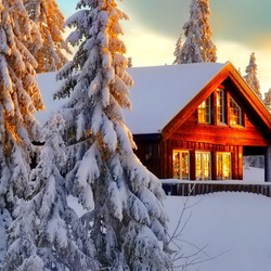 Jigsaw puzzle: The beauty of winter