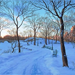 Jigsaw puzzle: Winter in Central Park