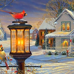 Jigsaw puzzle: Cardinals in winter
