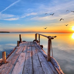 Jigsaw puzzle: Birds over the lake