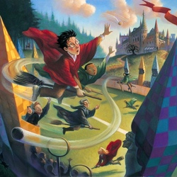 Jigsaw puzzle: Harry catches the snitch