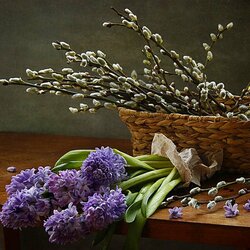 Jigsaw puzzle: Willow and hyacinths