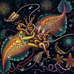 Jigsaw puzzle: Cephalopods