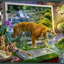 Jigsaw puzzles on topic «Tigers»