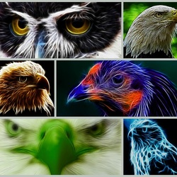 Jigsaw puzzles on topic «Fractal birds»