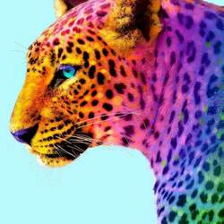 Jigsaw puzzle: Rainbow leopard