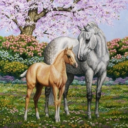 Jigsaw puzzle: Spring foal
