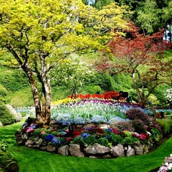 Jigsaw puzzles on topic «Butchart Gardens»