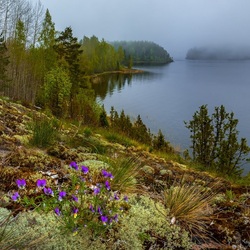 Jigsaw puzzle:  Spring on the Ladoga Islands