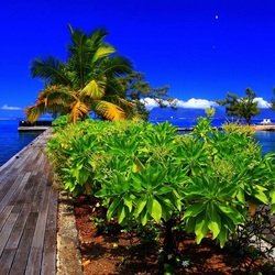 Jigsaw puzzle: Pier in the tropics