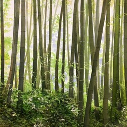 Jigsaw puzzle: Bamboo forest