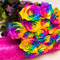 Jigsaw puzzle: Multicolored roses