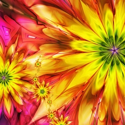 Jigsaw puzzle: Bright flowers