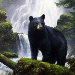 Jigsaw puzzle: Bear in the Smoky Mountains
