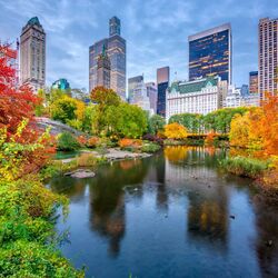Jigsaw puzzle: Autumn in Central Park