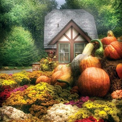 Jigsaw puzzle: Time for pumpkins