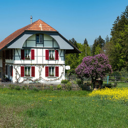 Jigsaw puzzle: Unusual house