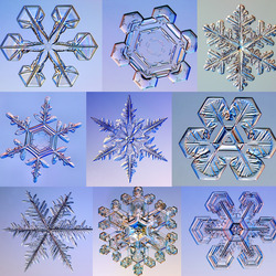 Jigsaw puzzle: Collage of snowflakes