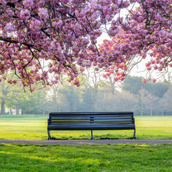 Jigsaw puzzle: Park in spring