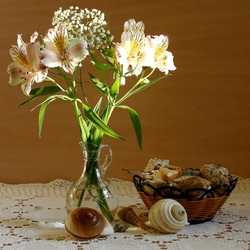 Jigsaw puzzle: Flowers and shells
