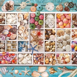 Jigsaw puzzle: Sea treasures