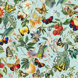 Jigsaw puzzle: Butterflies and fruits