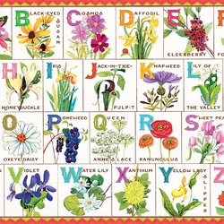 Jigsaw puzzle: Flower alphabet