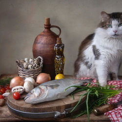 Jigsaw puzzle: Cat and still life