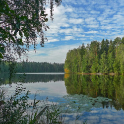 Jigsaw puzzle: A corner of nature in Russia