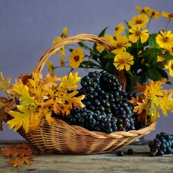 Jigsaw puzzle: Flowers and grapes