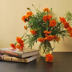 Jigsaw puzzle: Marigolds and books