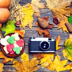 Jigsaw puzzle: Autumn photo sessions