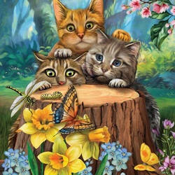 Jigsaw puzzle: Three kittens