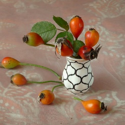 Jigsaw puzzle: Rosehip berries