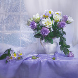 Jigsaw puzzle: Morning window, winter and roses