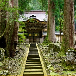 Jigsaw puzzle: Pagoda in the forest of Japan