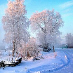 Jigsaw puzzle: Bright winter morning