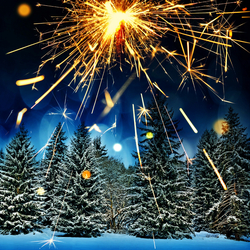 Jigsaw puzzle: New year forest