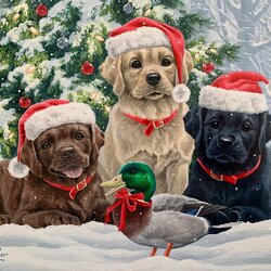 Jigsaw puzzle: Christmas dogs and duck