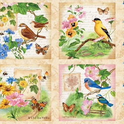 Jigsaw puzzle: Birds and butterflies