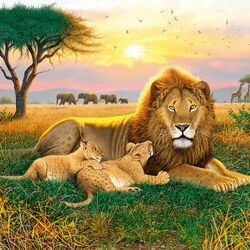 Jigsaw puzzles on topic «Lions»