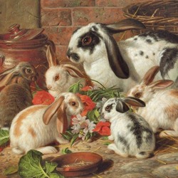 Jigsaw puzzle: rabbits