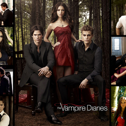 Jigsaw puzzles on topic «The Vampire Diaries»